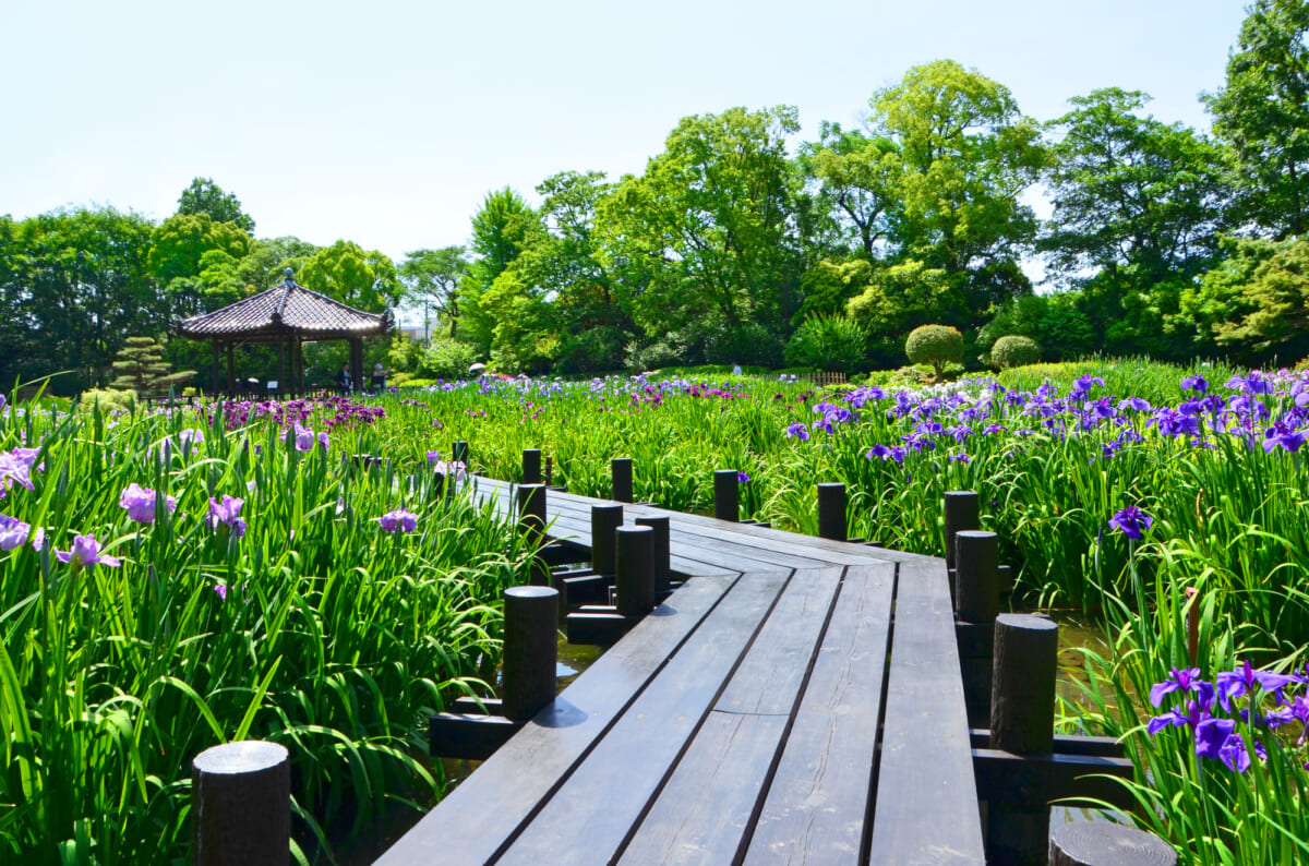 城北公園