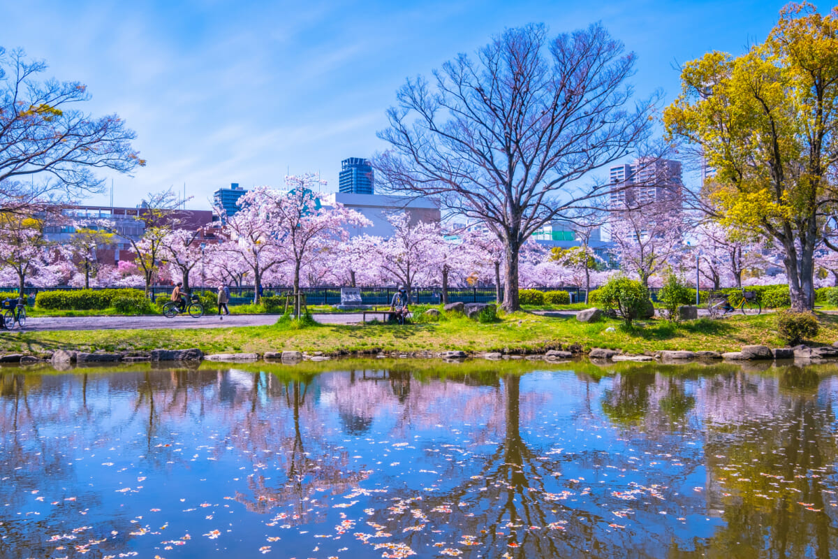 毛馬桜之宮公園